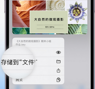 萨迦apple维修中心分享iPhone文件应用中存储和找到下载文件