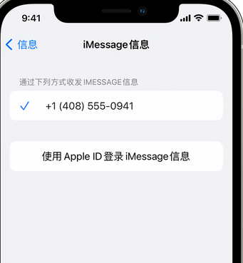 萨迦apple维修iPhone上无法正常发送iMessage信息 