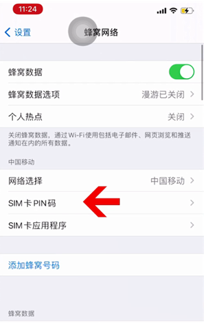 萨迦苹果14维修网分享如何给iPhone14的SIM卡设置密码 