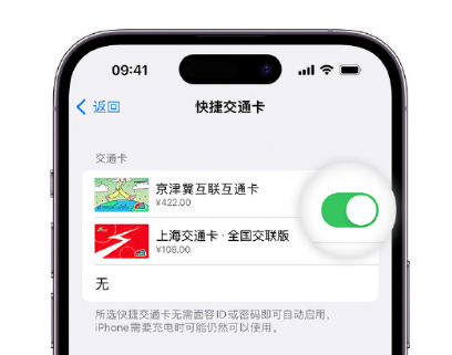 萨迦apple维修点分享iPhone上更换Apple Pay快捷交通卡手绘卡面 