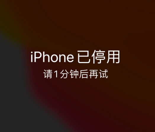 萨迦苹果手机维修分享:iPhone 显示“不可用”或“已停用”怎么办？还能保留数据吗？ 