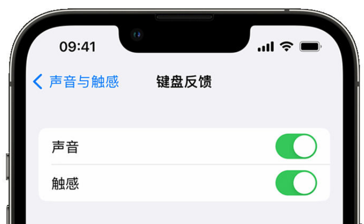 萨迦苹果手机维修分享iPhone 14触感键盘使用方法 