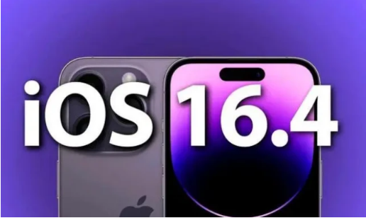 萨迦苹果14维修分享：iPhone14可以升级iOS16.4beta2吗？ 