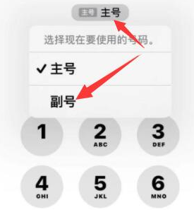 萨迦苹果14维修店分享iPhone 14 Pro Max使用副卡打电话的方法 