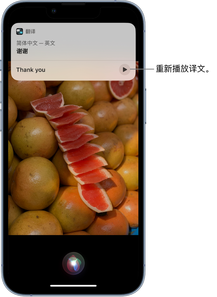 萨迦苹果14维修分享 iPhone 14 机型中使用 Siri：了解 Siri 能帮你做什么 