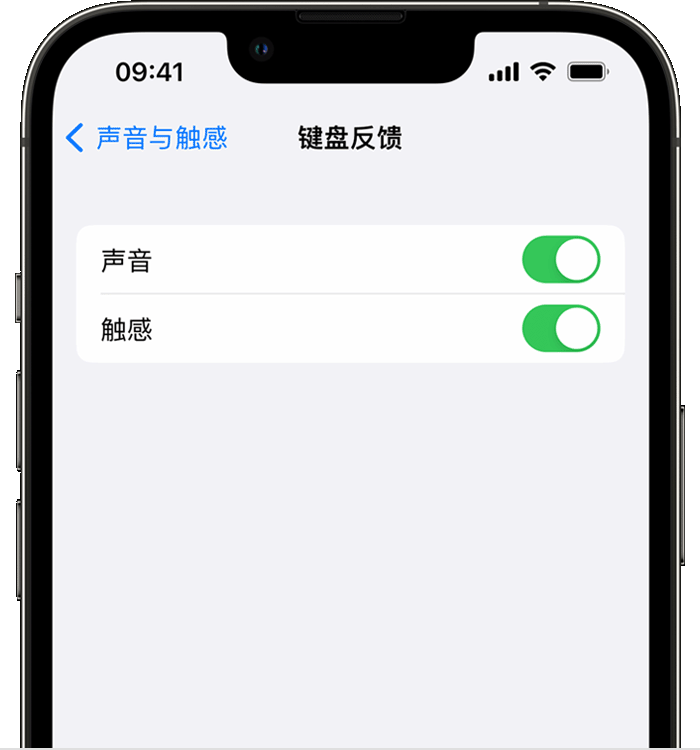 萨迦苹果14维修分享iPhone 14 系列机型如何开启键盘声音或触感反馈 