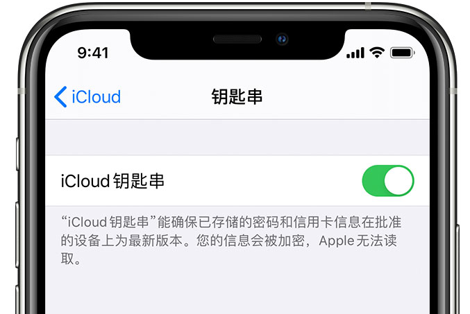 萨迦苹果手机维修分享在 iPhone 上开启 iCloud 钥匙串之后会储存哪些信息 
