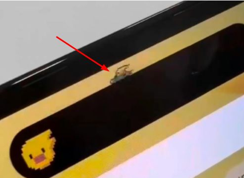 萨迦苹果14维修分享iPhone 14 Pro Max灵动岛怎么养宠物 