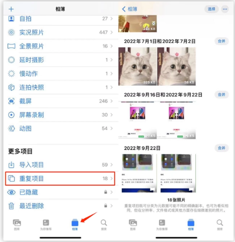 萨迦苹果手机维修分享iOS 16 中相册重复项目功能使用方法 