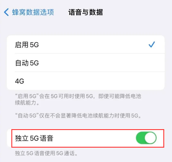 萨迦苹果14维修分享iPhone 14 Pro如何开启VoNR 