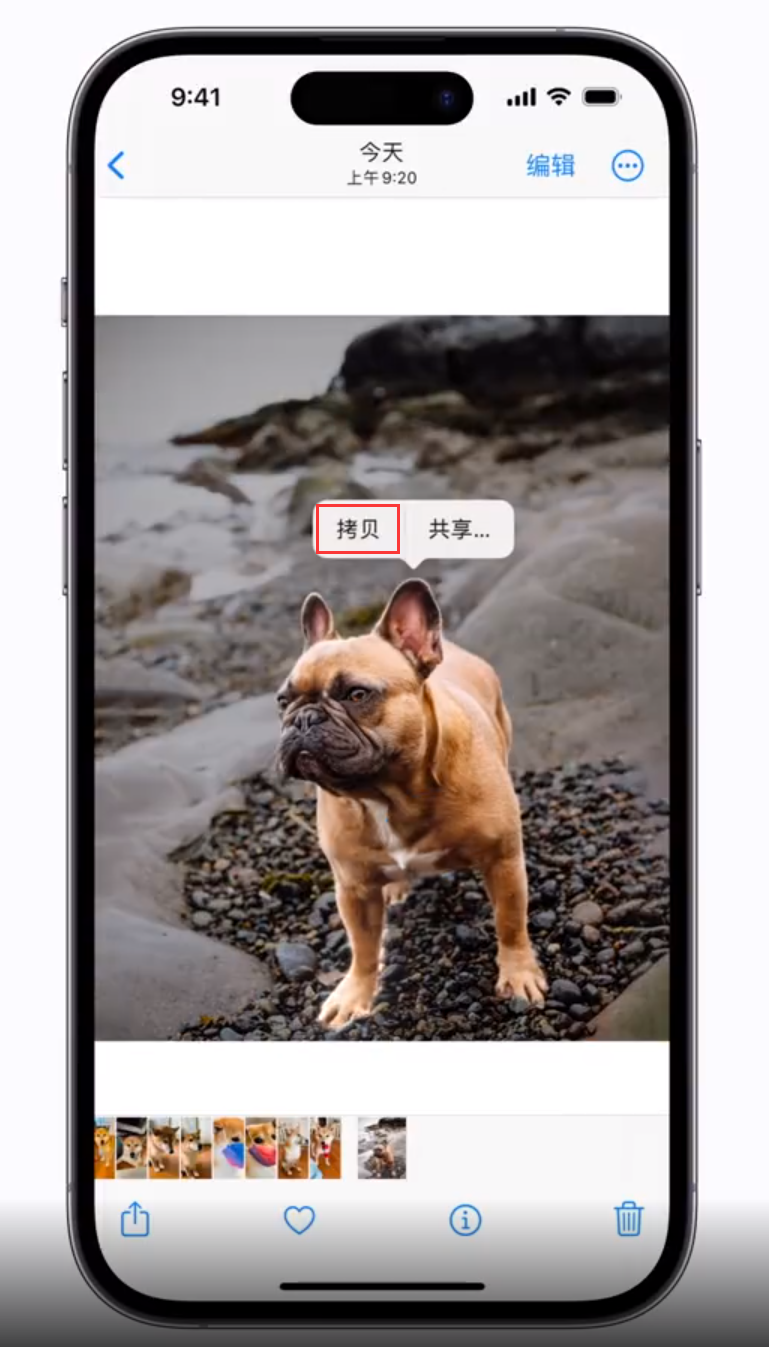 萨迦苹果手机维修分享 iOS 16 自带一键抠图功能 