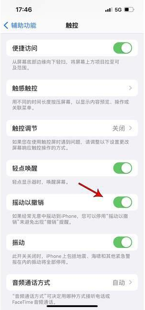 萨迦苹果手机维修分享iPhone手机如何设置摇一摇删除文字 