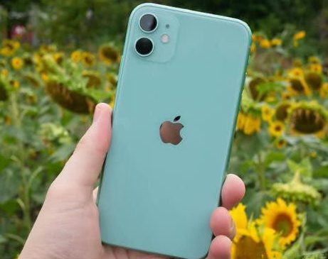 萨迦苹果维修点分享iPhone 11锁屏密码认知与使用科普 