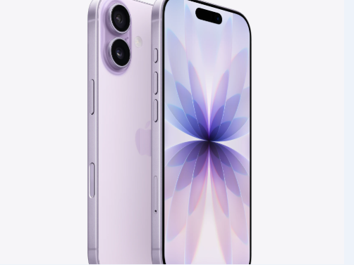 萨迦苹果维修点分享iPhone 17锁屏密码使用参考 