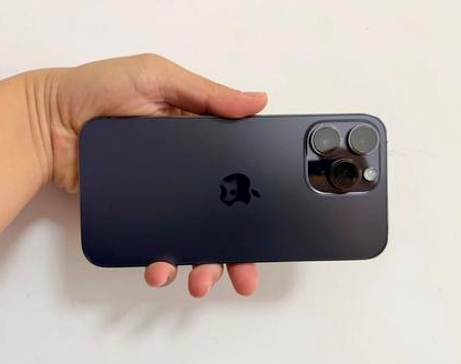 萨迦苹果维修点分享iPhone 14 Pro Max发烫多重诱因剖析 